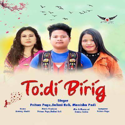 Todi Birig, Listen the song Todi Birig, Play the song Todi Birig, Download the song Todi Birig