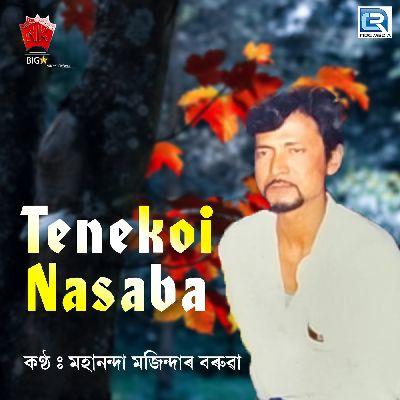 Tenekoi Nasaba, Listen the song Tenekoi Nasaba, Play the song Tenekoi Nasaba, Download the song Tenekoi Nasaba