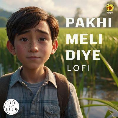 Pakhi Meli Diye Lofi, Listen the song Pakhi Meli Diye Lofi, Play the song Pakhi Meli Diye Lofi, Download the song Pakhi Meli Diye Lofi