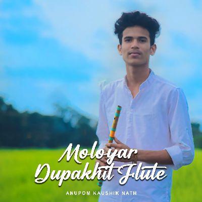 Moloyar Dupakhit Flute, Listen the song Moloyar Dupakhit Flute, Play the song Moloyar Dupakhit Flute, Download the song Moloyar Dupakhit Flute