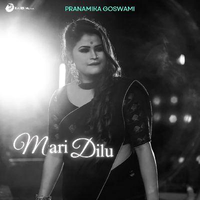 Mari Dilu, Listen the song Mari Dilu, Play the song Mari Dilu, Download the song Mari Dilu