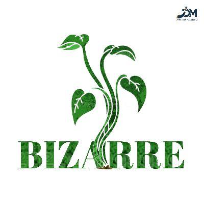 Bizarre (From "An Imagination of Peace"), Listen the song Bizarre (From "An Imagination of Peace"), Play the song Bizarre (From "An Imagination of Peace"), Download the song Bizarre (From "An Imagination of Peace")