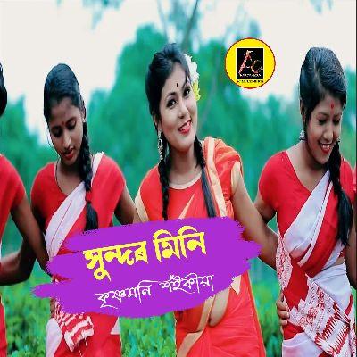 Sundar Mini, Listen the song Sundar Mini, Play the song Sundar Mini, Download the song Sundar Mini