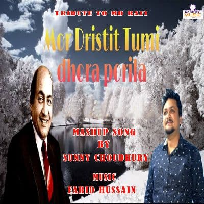 Mor Dristit Tumi Dhora Porila, Listen the song Mor Dristit Tumi Dhora Porila, Play the song Mor Dristit Tumi Dhora Porila, Download the song Mor Dristit Tumi Dhora Porila