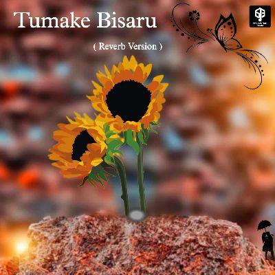 Tumake Bisaru Moi ( Reverb), Listen the song Tumake Bisaru Moi ( Reverb), Play the song Tumake Bisaru Moi ( Reverb), Download the song Tumake Bisaru Moi ( Reverb)