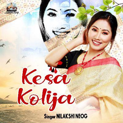 Kesa Kolija, Listen the song Kesa Kolija, Play the song Kesa Kolija, Download the song Kesa Kolija