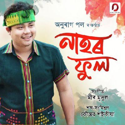 Nahor Phool, Listen the song Nahor Phool, Play the song Nahor Phool, Download the song Nahor Phool