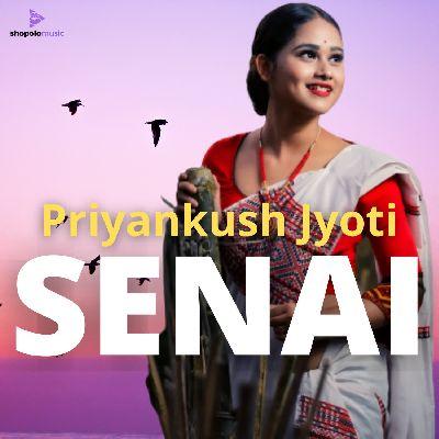 Senai, Listen the song Senai, Play the song Senai, Download the song Senai