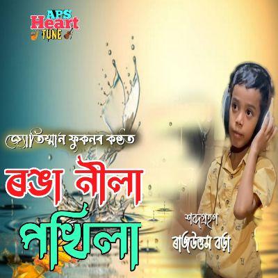 Ronga Nila Pokhila, Listen the song Ronga Nila Pokhila, Play the song Ronga Nila Pokhila, Download the song Ronga Nila Pokhila