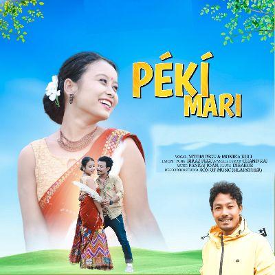 Peki Mari, Listen the song Peki Mari, Play the song Peki Mari, Download the song Peki Mari