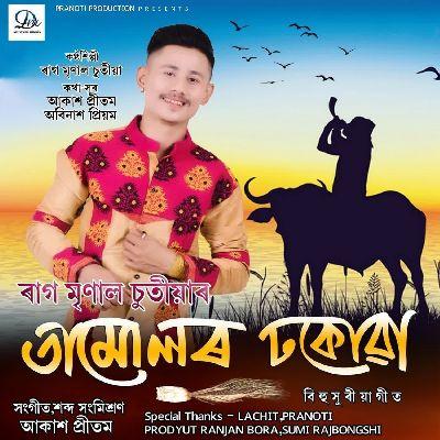 Tamulor Dhokua, Listen the song Tamulor Dhokua, Play the song Tamulor Dhokua, Download the song Tamulor Dhokua