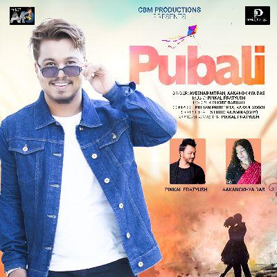 Pubali, Listen the song Pubali, Play the song Pubali, Download the song Pubali