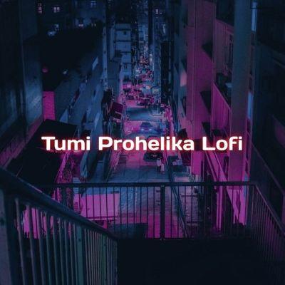 Tumi Prohelika Lofi, Listen the song Tumi Prohelika Lofi, Play the song Tumi Prohelika Lofi, Download the song Tumi Prohelika Lofi