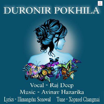 Duronir Pokhila, Listen the song Duronir Pokhila, Play the song Duronir Pokhila, Download the song Duronir Pokhila