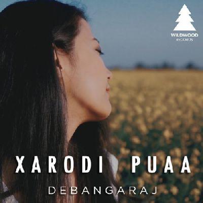 Xarodi Puaa, Listen the song Xarodi Puaa, Play the song Xarodi Puaa, Download the song Xarodi Puaa