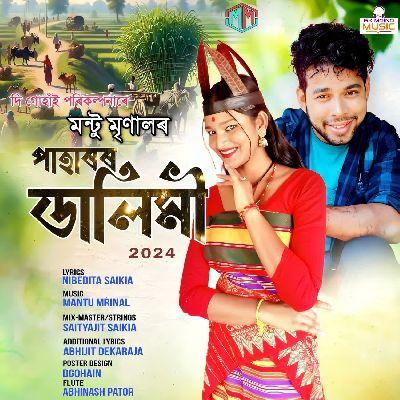 Paharar Dalimi 2024, Listen the song Paharar Dalimi 2024, Play the song Paharar Dalimi 2024, Download the song Paharar Dalimi 2024