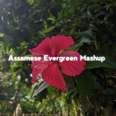 Assamese Evergreen (Mashup), Listen the song Assamese Evergreen (Mashup), Play the song Assamese Evergreen (Mashup), Download the song Assamese Evergreen (Mashup)