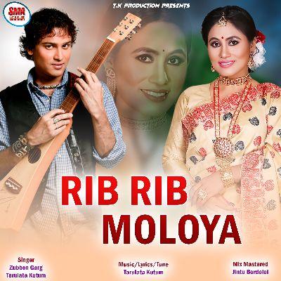 Rib Rib Moloya, Listen the song Rib Rib Moloya, Play the song Rib Rib Moloya, Download the song Rib Rib Moloya