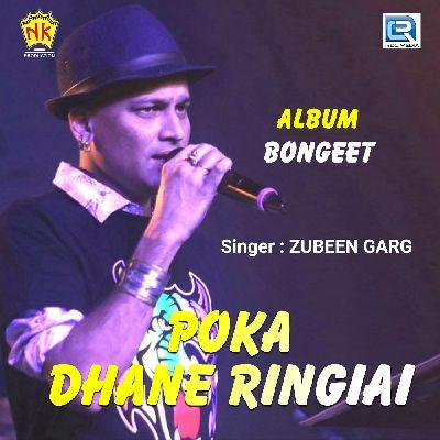 Poka Dhane Ringiai, Listen the song Poka Dhane Ringiai, Play the song Poka Dhane Ringiai, Download the song Poka Dhane Ringiai