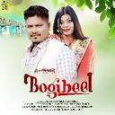 Bogibeel