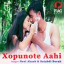 Xopunote Aahi