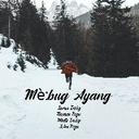 MeBug Ayang