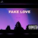 Fake Love