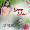 Senai Dhan