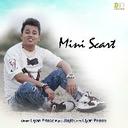 Mini Scart