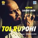 Toi Rupohi