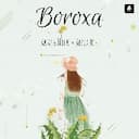 Boroxa