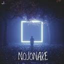 Nojonake