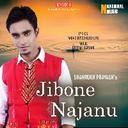 Jibone Najanu