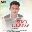 Seko Ludang